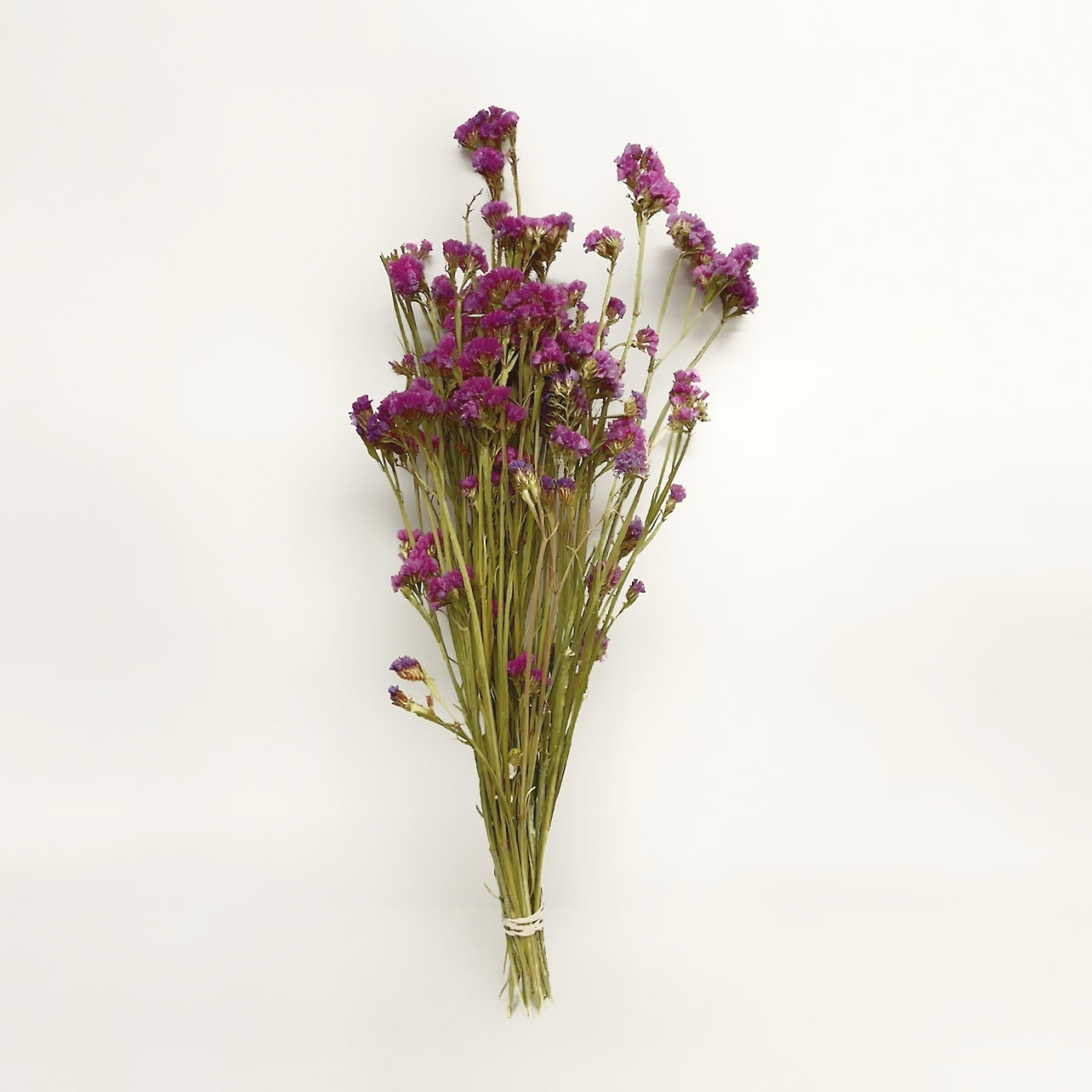 Dried Greenery Thistles Bouquet – VanCortlandt Farms