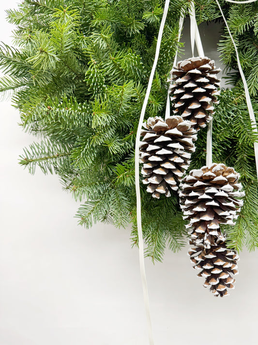 Fresh Evergreens White Ribboned Pine Cones Wreath