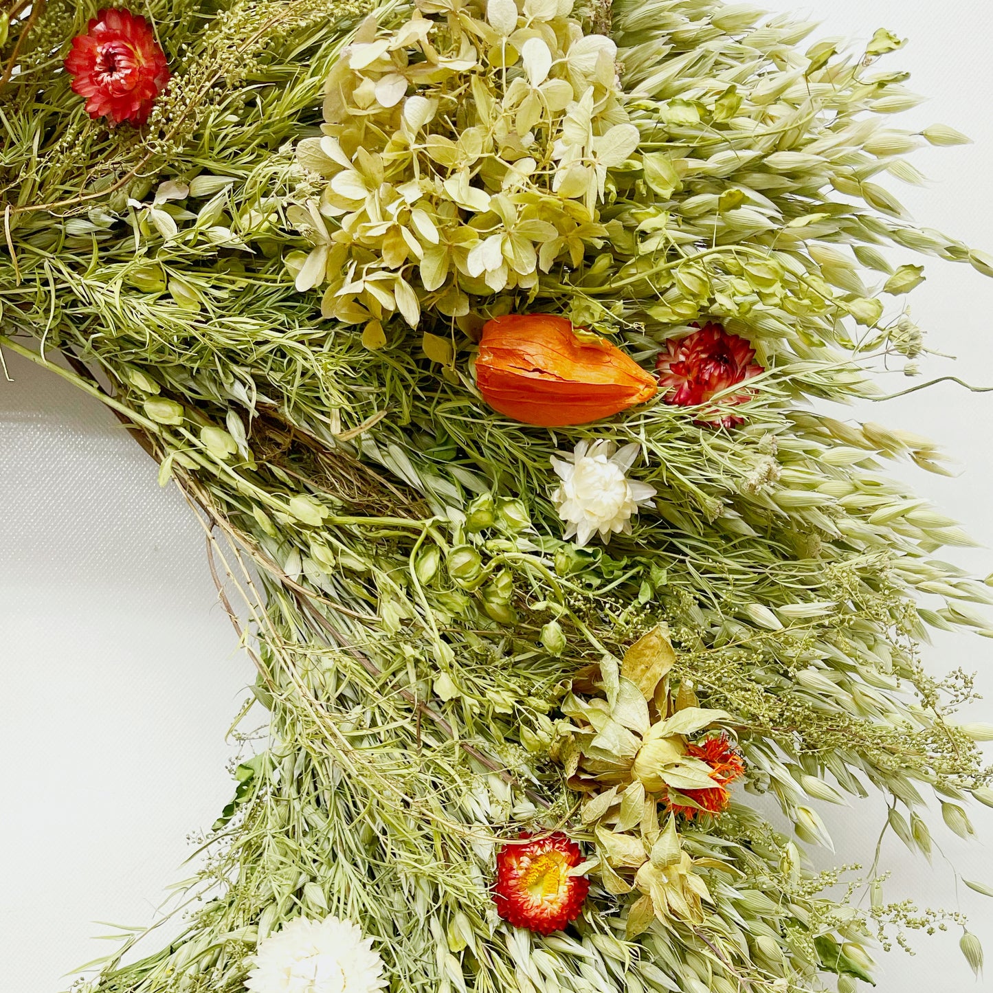 Dried Seeds of the Prairie Wreath