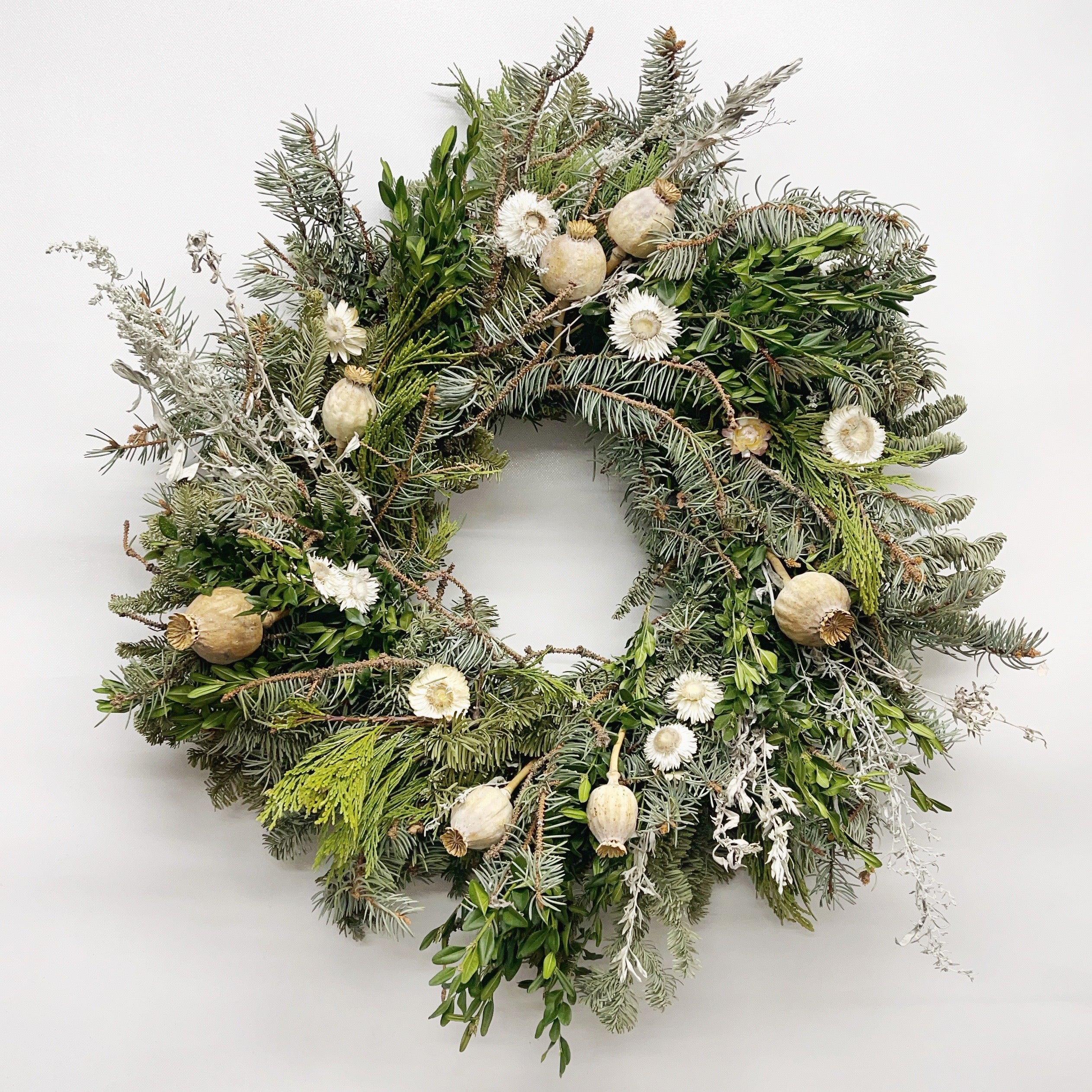 Fresh Evergreens Snowy Poppy Wreath – VanCortlandt Farms