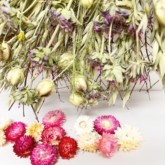 DIY Dried Woods Wreath and Colorful Strawflowers Kit