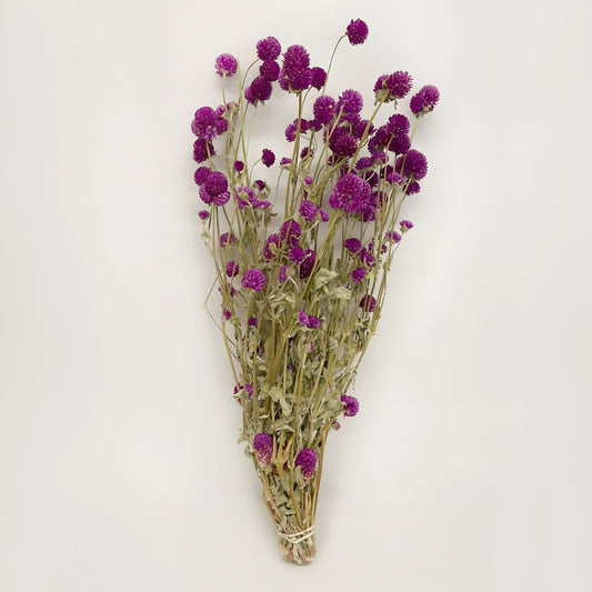 Dried Purple Globe Amaranth Bouquet