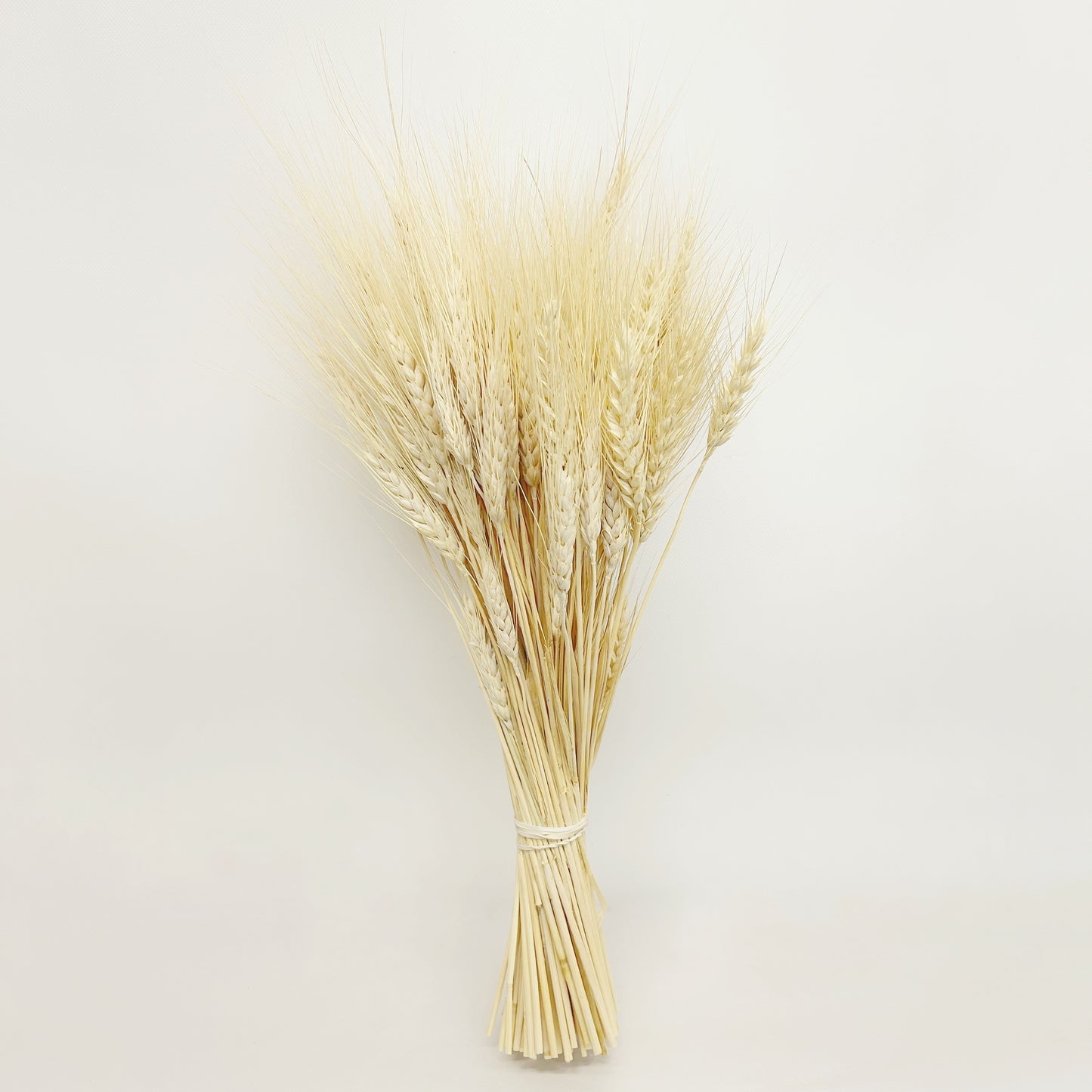 Dried Golden Blond Wheat Bouquet