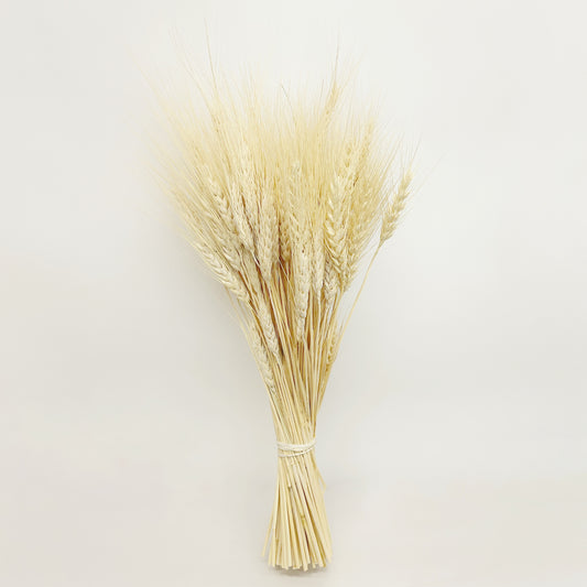 Dried Golden Blond Wheat Bouquet