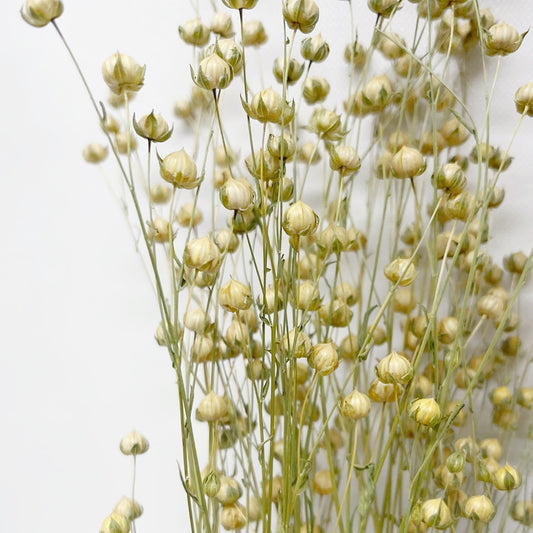 Dried Yellow Flax Linum Bouquet