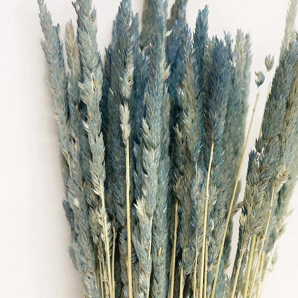 Preserved Blue Dipped Feather Reed Grass Bouquet