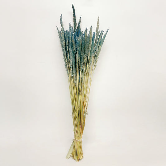 Preserved Blue Dipped Feather Reed Grass Bouquet