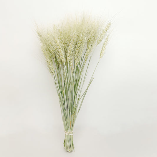 Dried Sunwashed Dusty Green Wheat Bouquet