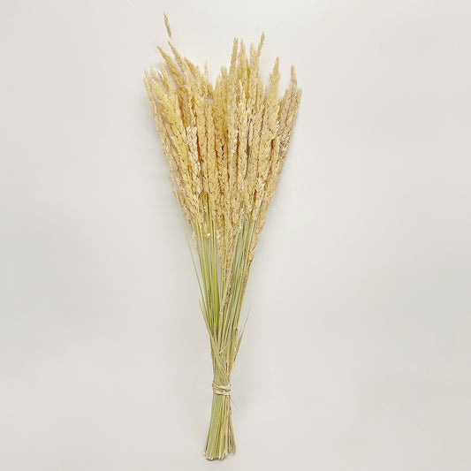 Dried Feather Reed Grass Bouquet