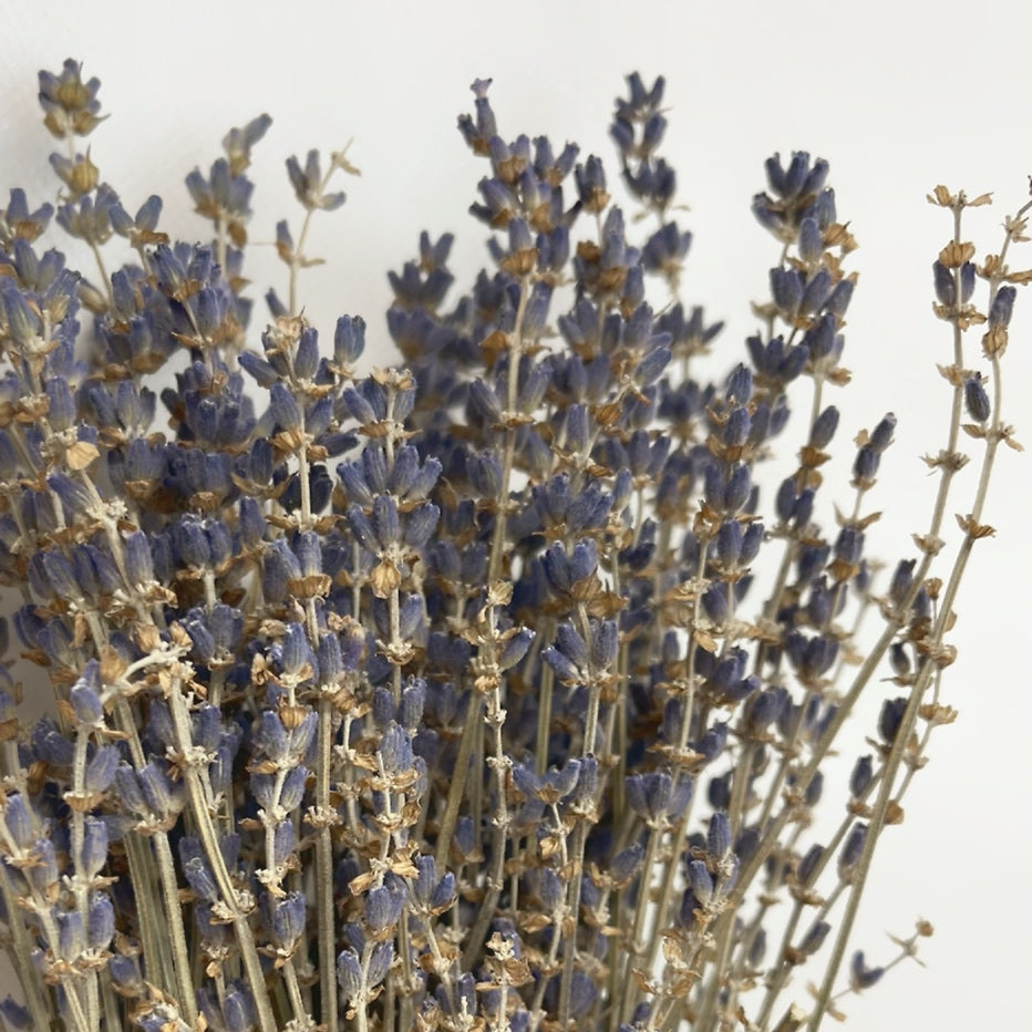 Dried Lavender Bouquet