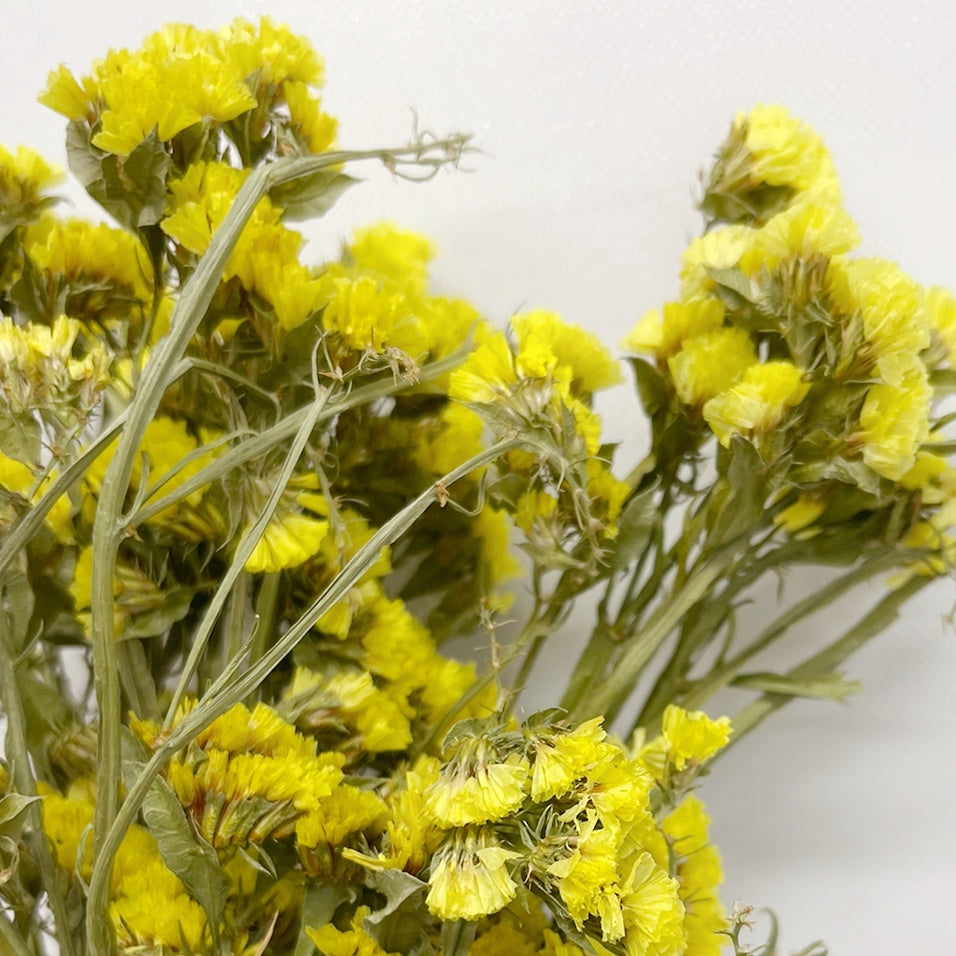 Dried Yellow Sinuata Statice Bouquet