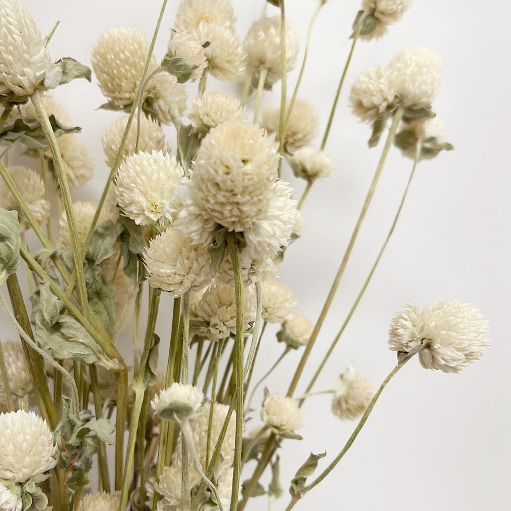 Dried Cream Ivory Globe Amaranth Bouquet