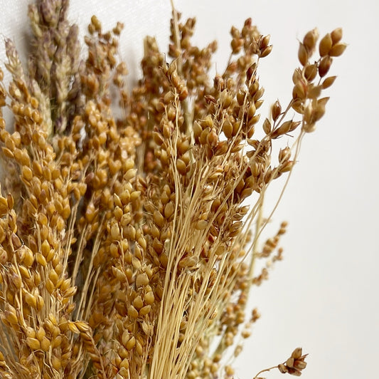 Dried Orange Broom Corn Bouquet