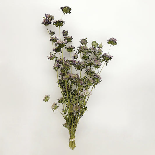 Dried Lemon Mint Bouquet