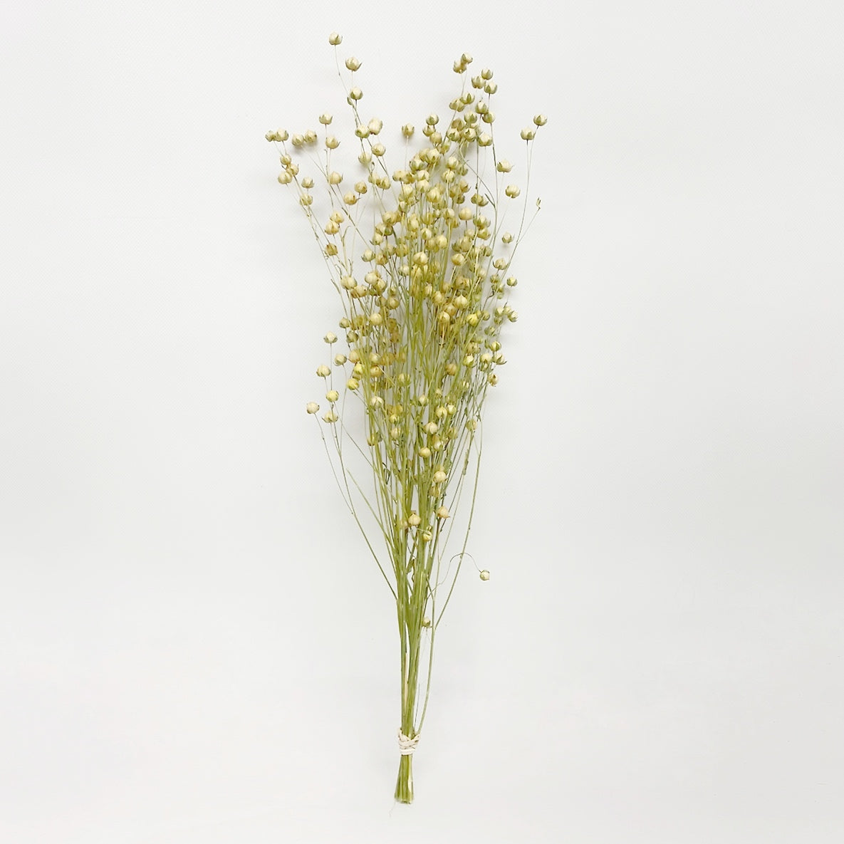 Dried Yellow Flax Linum Bouquet